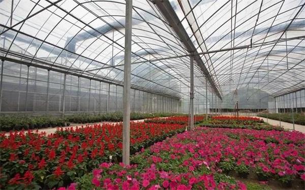 大棚种植花卉首选采暖空气能热泵系统