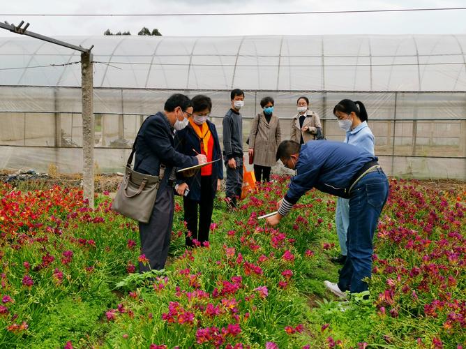 花卉育种赶农时