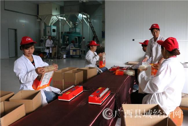 亩长寿·生态·富硒农产品基地现场会在南丹县召开 - 广西县域经济网