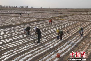 中国拟从国家层面建立土壤污染防治基金制度 图
