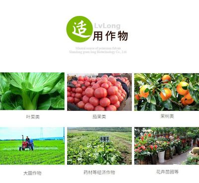 全水溶黄腐植酸钾/矿源黄腐酸钾_有机质60%以上_调节营养促进作物生长