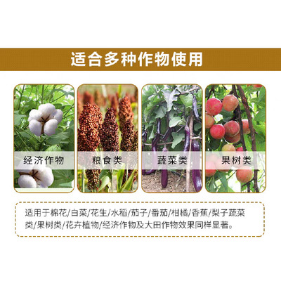 硼 提高授粉受精,促进花芽分化,保花保果 提高座果率防裂果