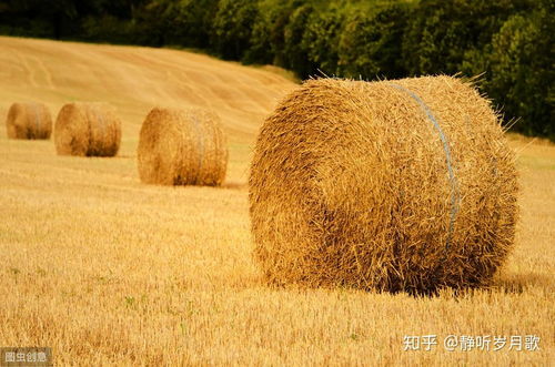 5个不起眼的小生意,小本项目,却适合农村人