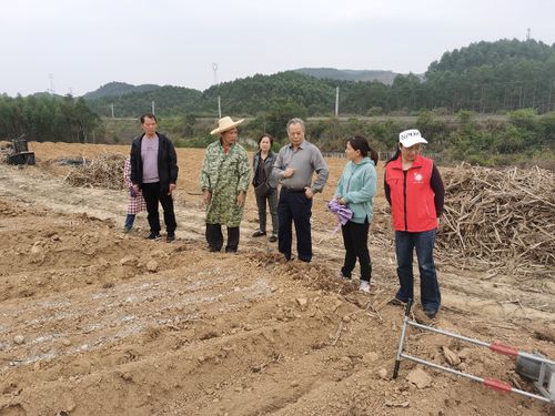 广西农科院经济作物研究所 科技赋能，引领经济作物产业蓬勃发展